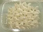 Stephanotis