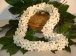 Stephanotis Lei