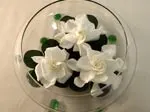 Aki FlowersUSA