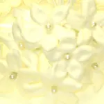Aki Flowers USA