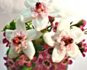 Wedding Flowers