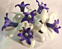 Wedding Flowers