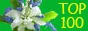 TOP 100 FLOWERS SITES